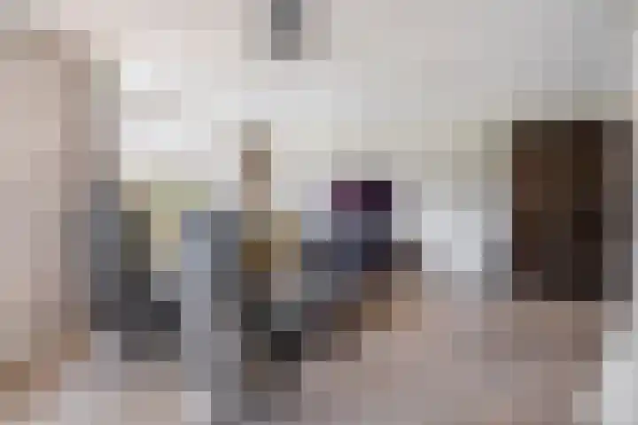 van Assendelftstraat 23 Waalwijk thumbnail 8