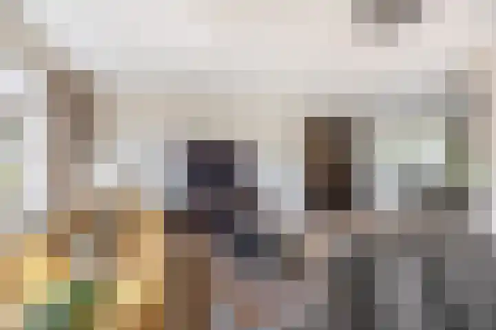 van Assendelftstraat 23 Waalwijk thumbnail 9