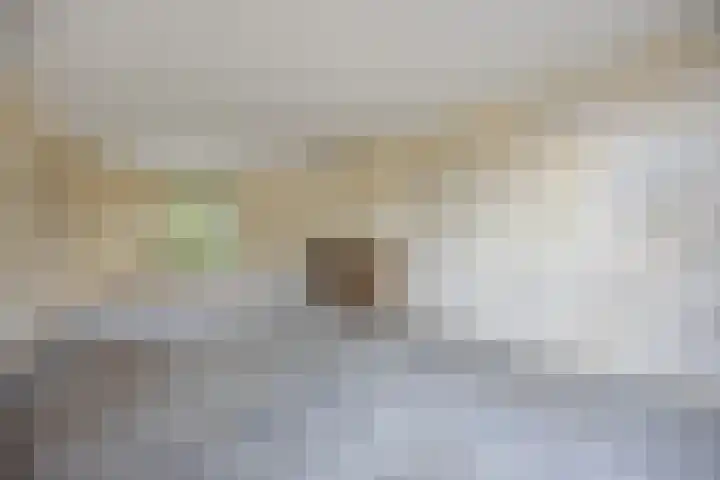 van Assendelftstraat 32 Waalwijk thumbnail 10