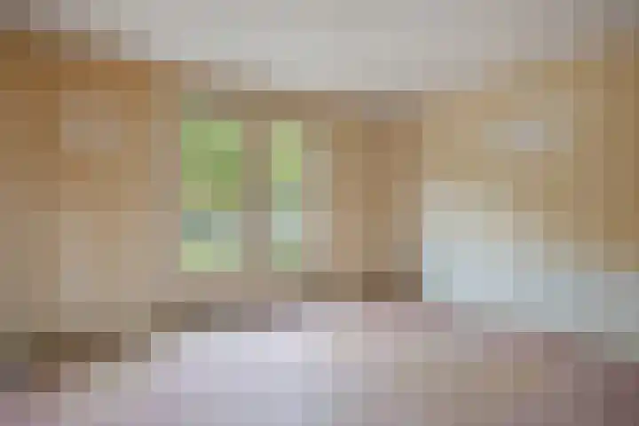 van Assendelftstraat 32 Waalwijk thumbnail 13