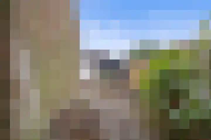 van Assendelftstraat 32 Waalwijk thumbnail 30