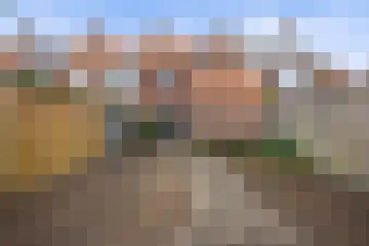 van Assendelftstraat 32 Waalwijk thumbnail 32