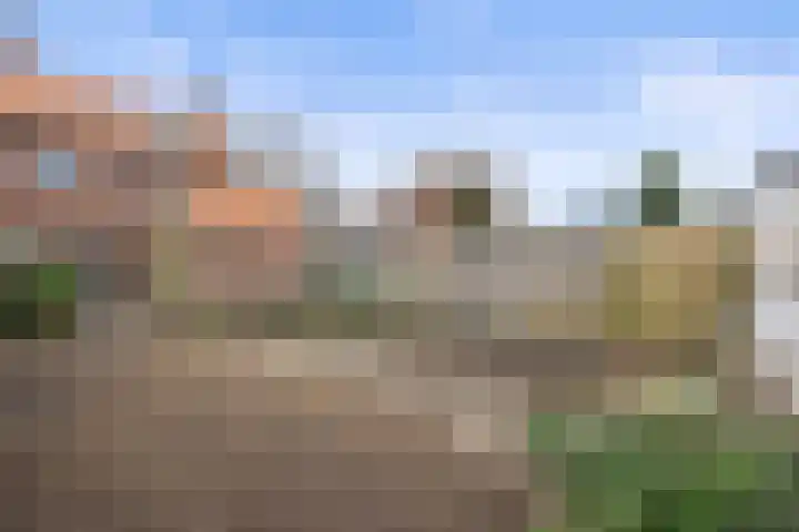 van Assendelftstraat 32 Waalwijk thumbnail 4