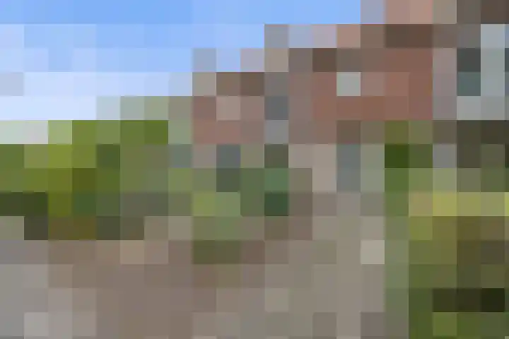 van Assendelftstraat 32 Waalwijk thumbnail 5