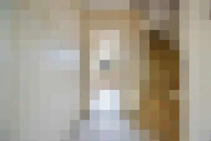 van Assendelftstraat 32 Waalwijk thumbnail 6