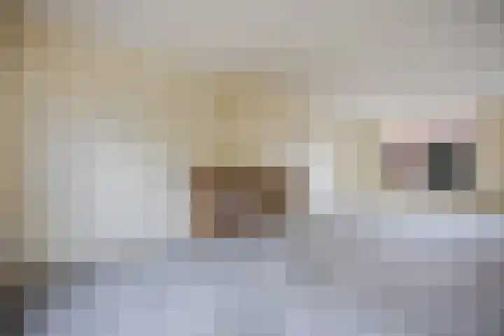 van Assendelftstraat 32 Waalwijk thumbnail 8