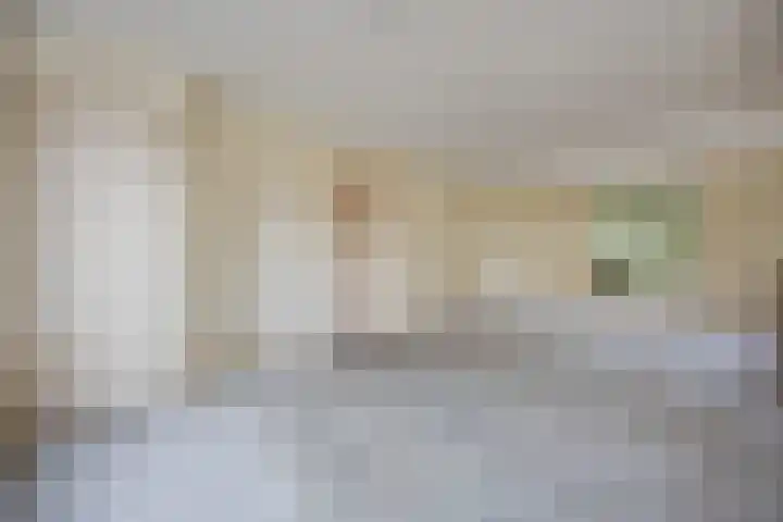 van Assendelftstraat 32 Waalwijk thumbnail 9