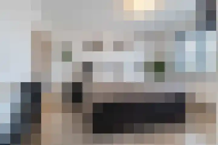van Assendelftstraat 34 Waalwijk thumbnail 13