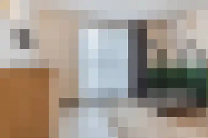 van Assendelftstraat 34 Waalwijk thumbnail 16