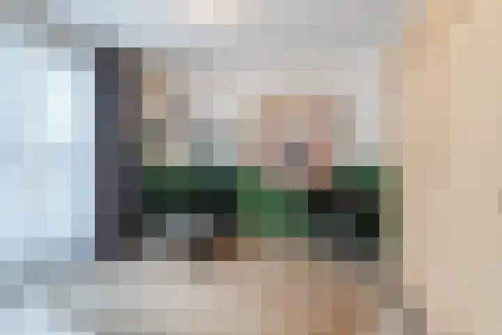 van Assendelftstraat 34 Waalwijk thumbnail 17