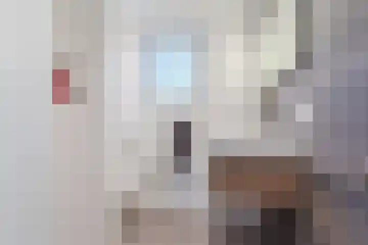 van Assendelftstraat 34 Waalwijk thumbnail 19