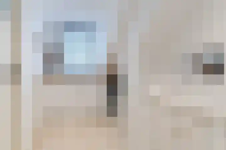van Assendelftstraat 34 Waalwijk thumbnail 22