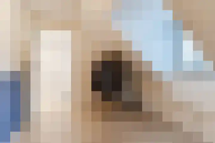 van Assendelftstraat 34 Waalwijk thumbnail 26
