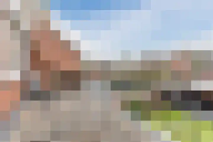 van Assendelftstraat 34 Waalwijk thumbnail 27