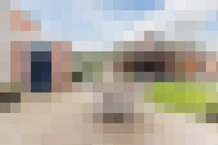 van Assendelftstraat 34 Waalwijk thumbnail 30
