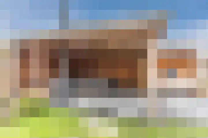 van Assendelftstraat 34 Waalwijk thumbnail 31