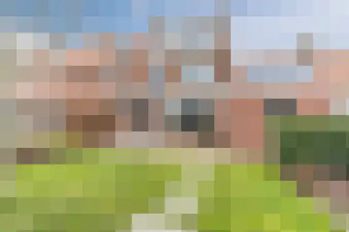 van Assendelftstraat 34 Waalwijk thumbnail 32