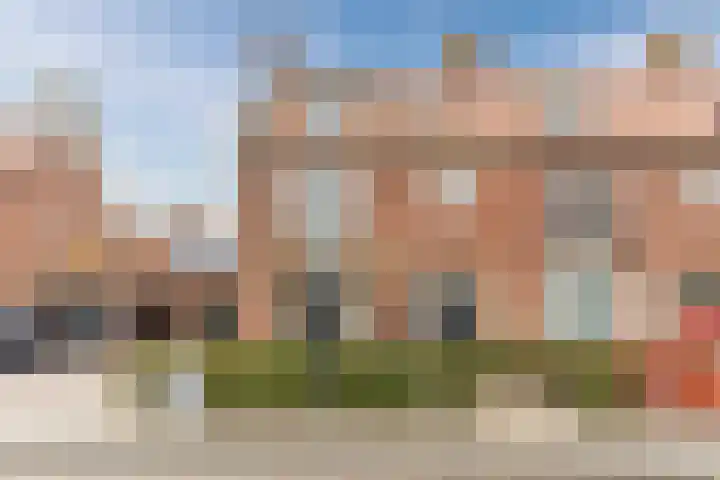 van Assendelftstraat 34 Waalwijk thumbnail 35
