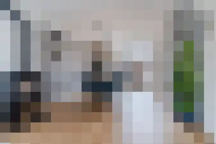 van Assendelftstraat 34 Waalwijk thumbnail 4