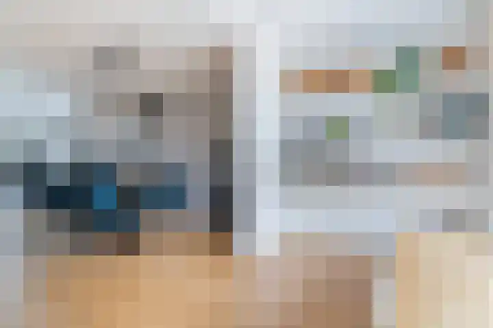 van Assendelftstraat 34 Waalwijk thumbnail 7