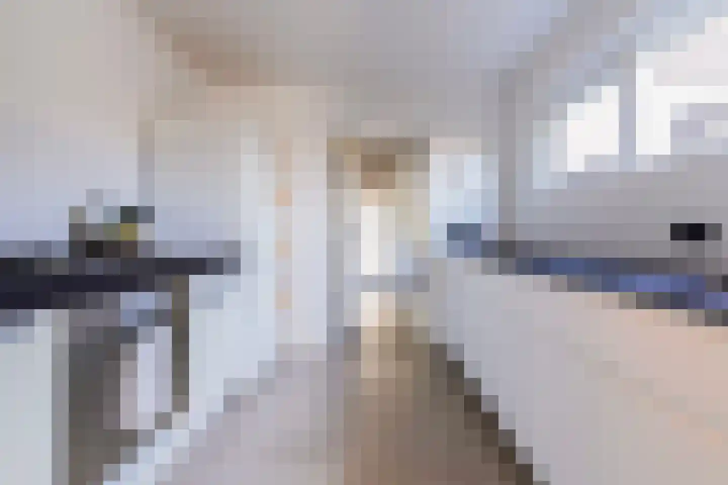 van Assendelftstraat 38 Waalwijk thumbnail 12