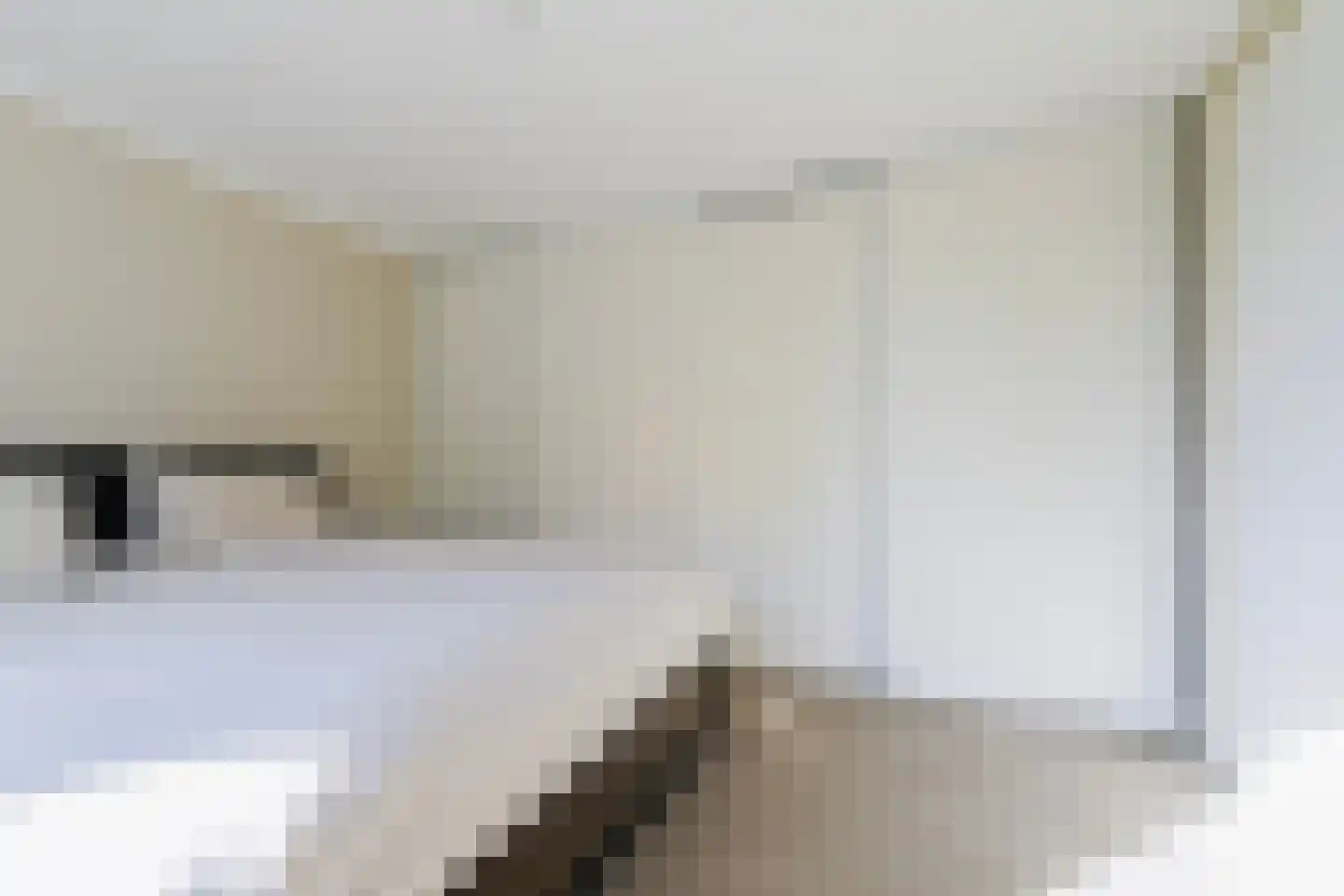 van Assendelftstraat 38 Waalwijk thumbnail 20