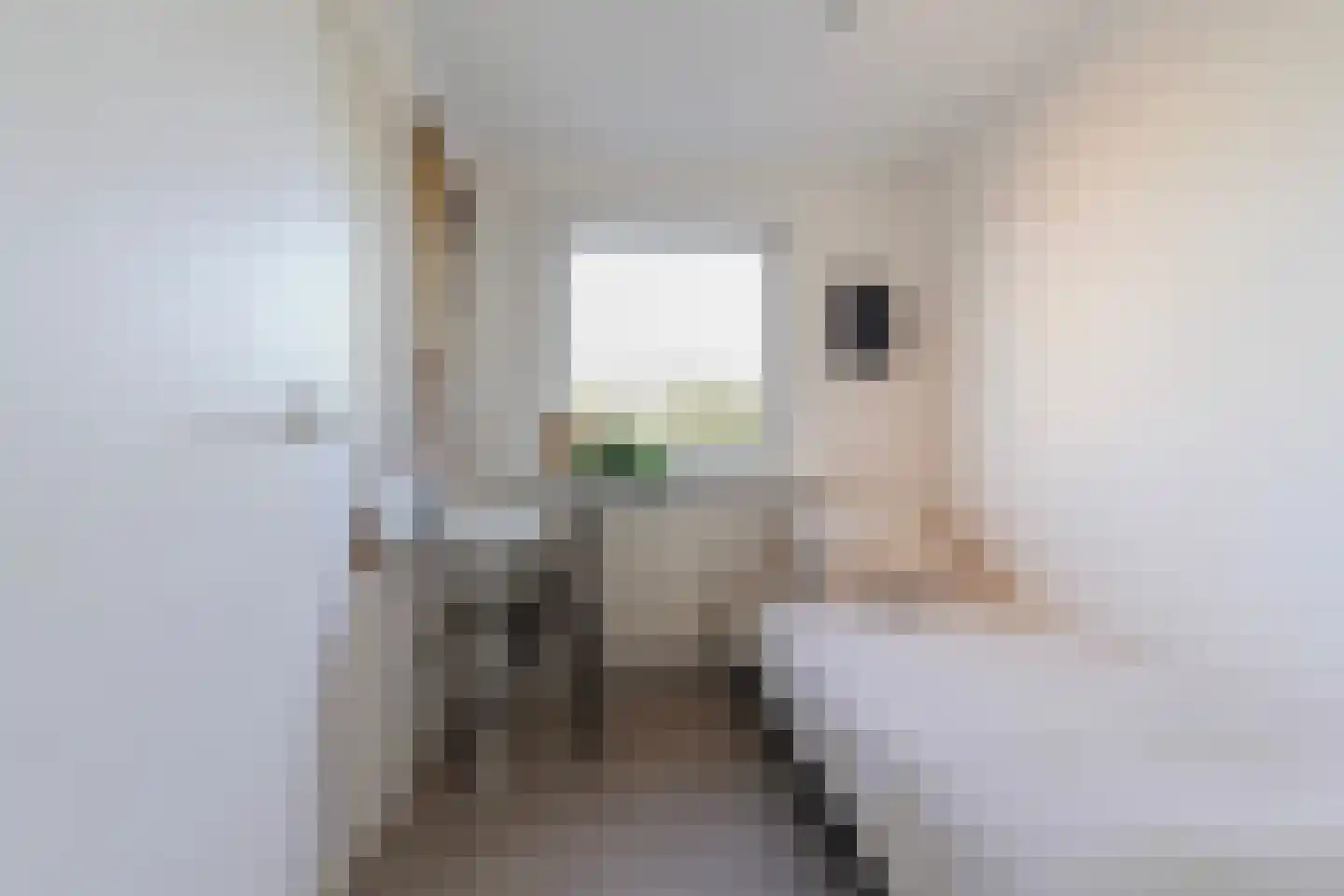 van Assendelftstraat 38 Waalwijk thumbnail 21
