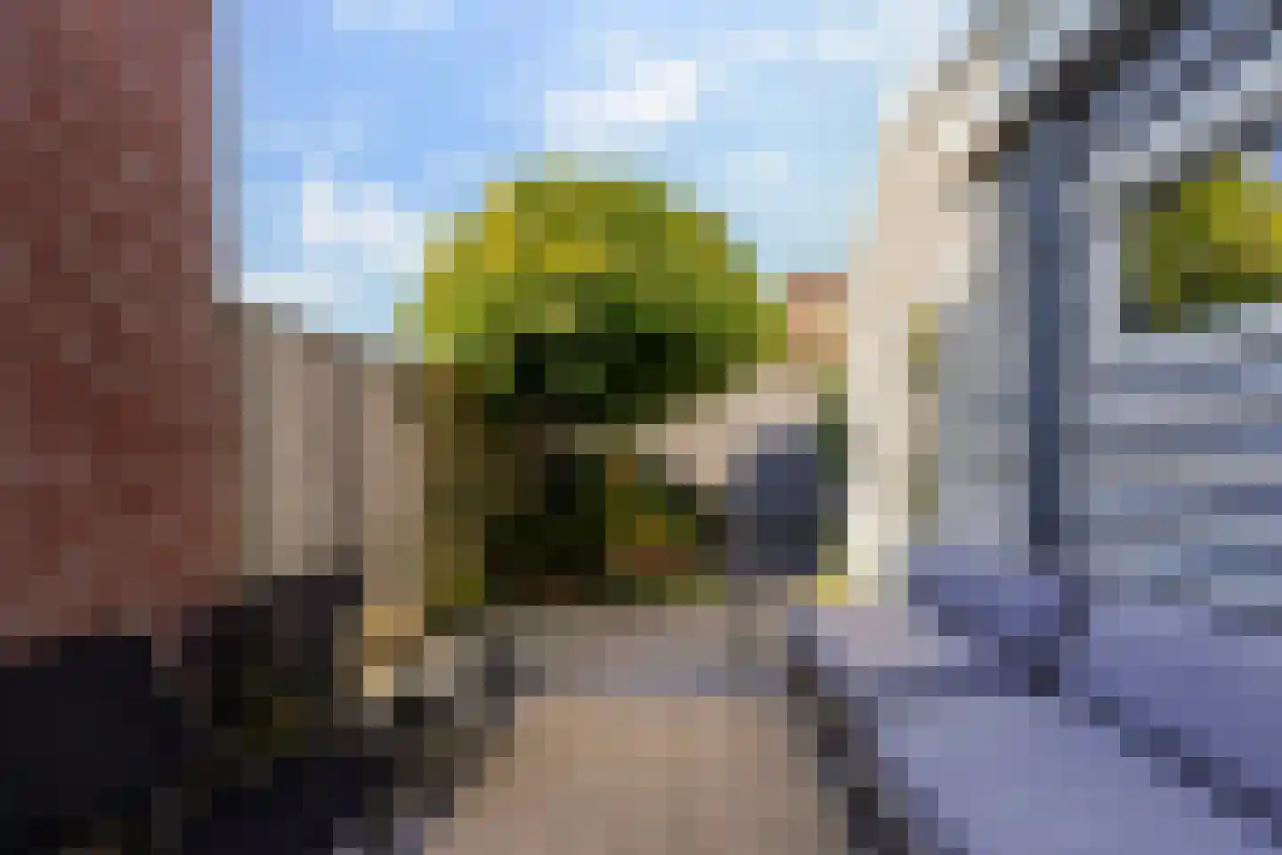 van Assendelftstraat 38 Waalwijk thumbnail 31