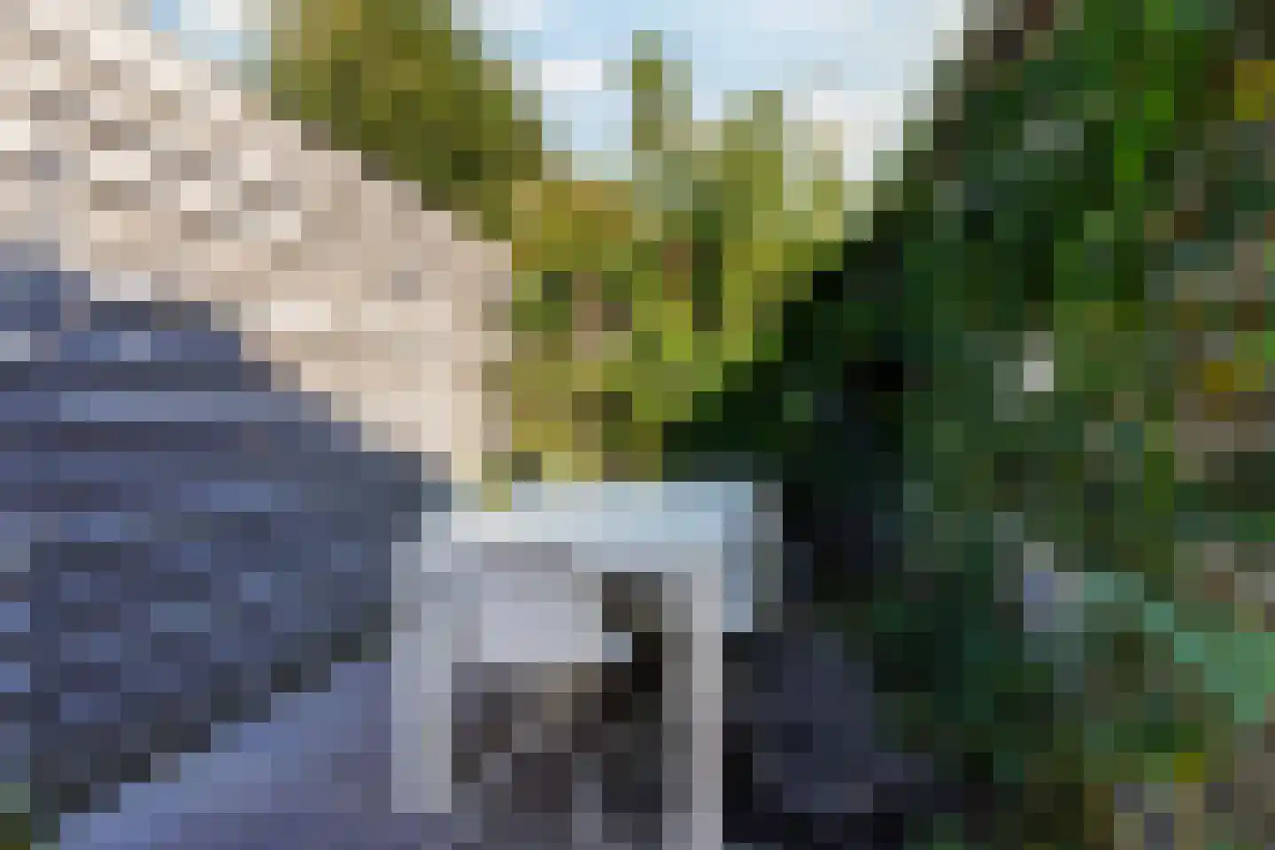 van Assendelftstraat 38 Waalwijk thumbnail 33