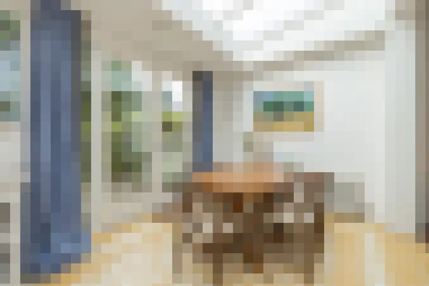 van Assendelftstraat 39 Oegstgeest thumbnail 13