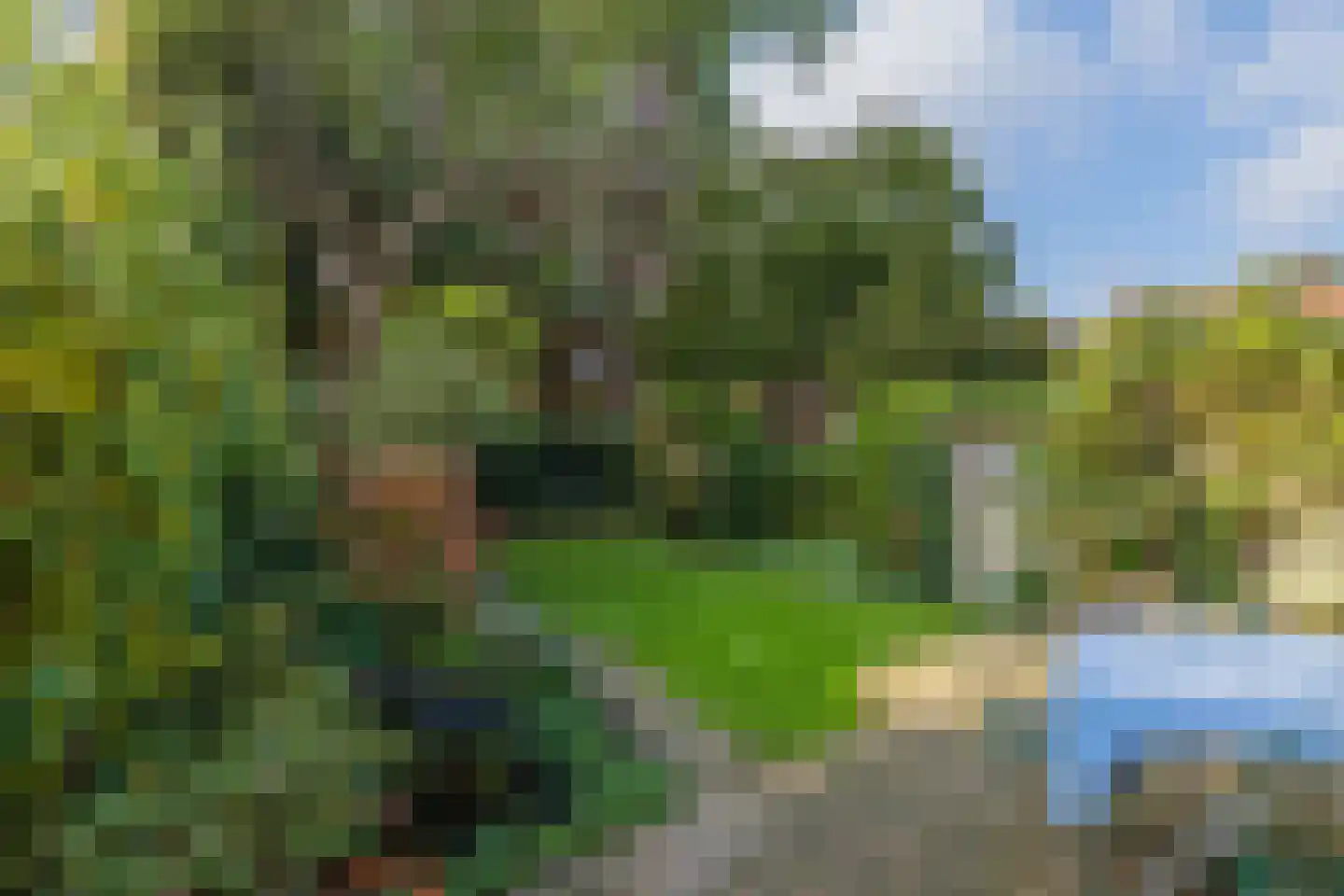 van Assendelftstraat 39 Oegstgeest thumbnail 19
