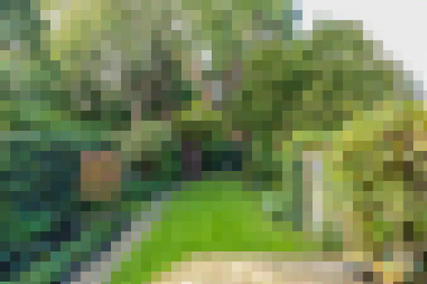 van Assendelftstraat 39 Oegstgeest thumbnail 22