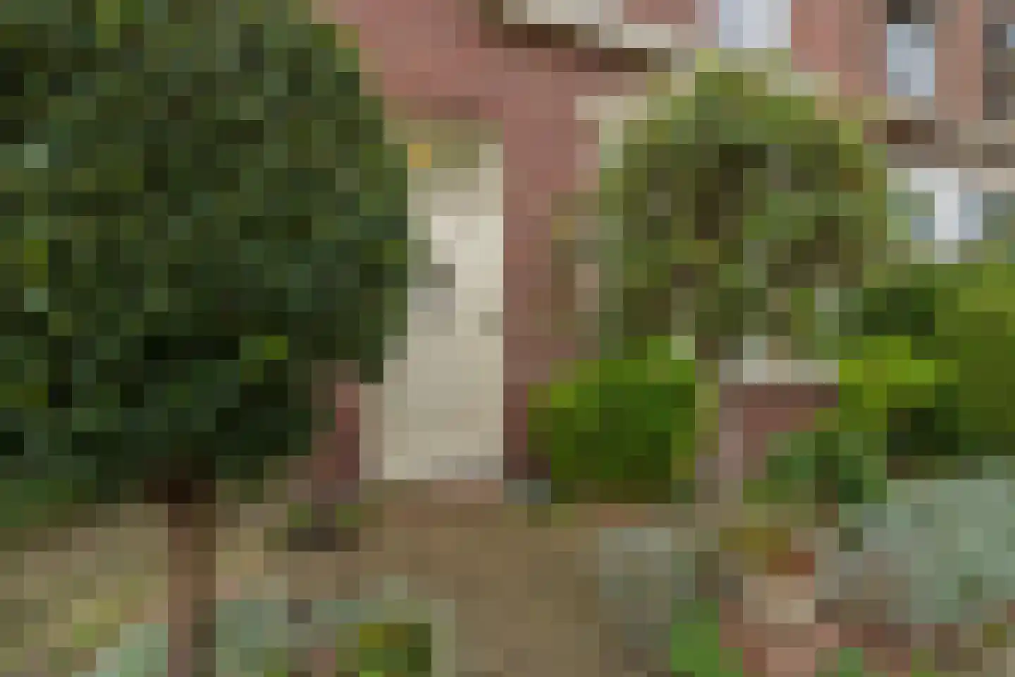 van Assendelftstraat 39 Oegstgeest thumbnail 4