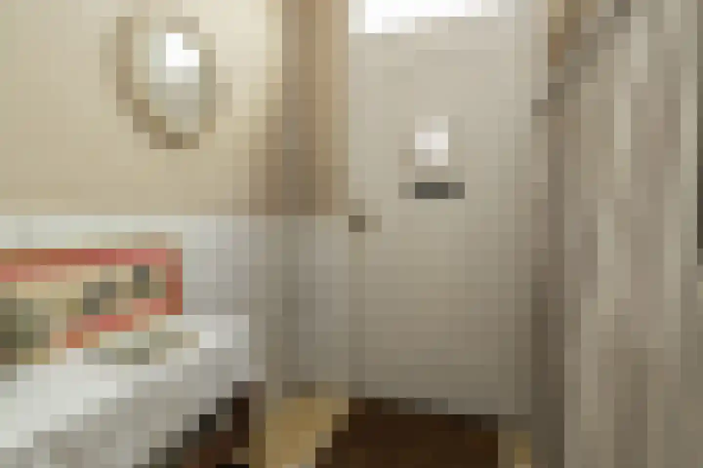 van Assendelftstraat 39 Oegstgeest thumbnail 6