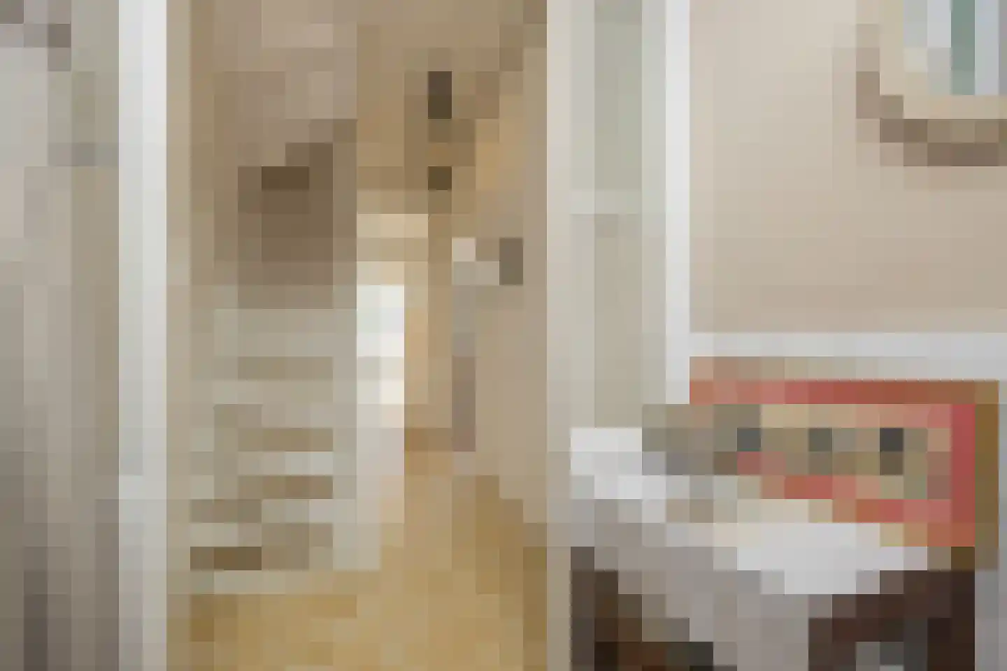 van Assendelftstraat 39 Oegstgeest thumbnail 7