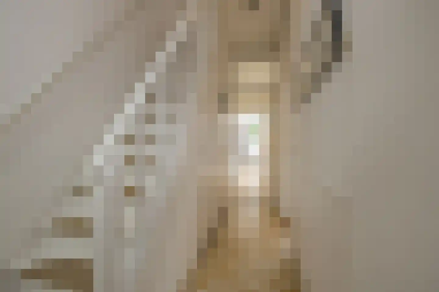 van Assendelftstraat 39 Oegstgeest thumbnail 8