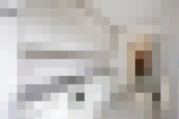 van Assendelftstraat 41 Oegstgeest thumbnail 17