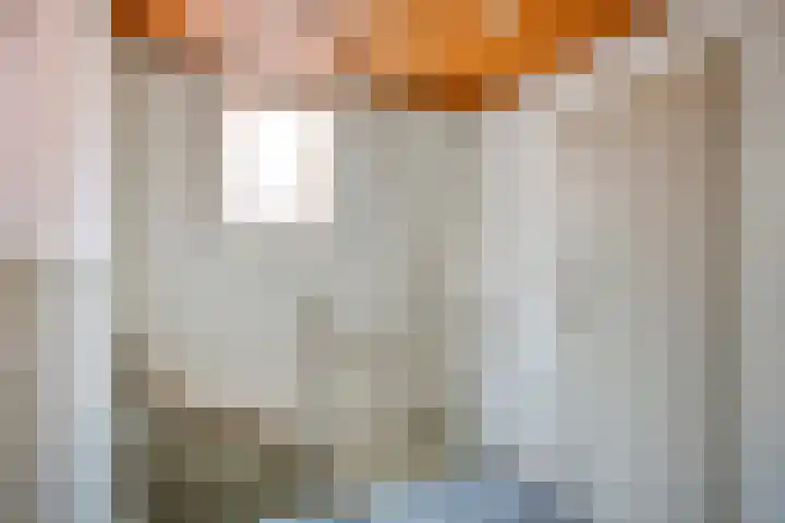 van Assendelftstraat 41 Oegstgeest thumbnail 18