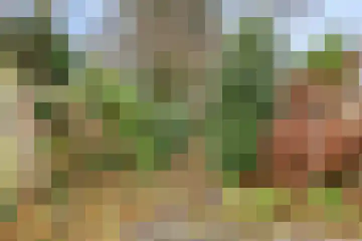 van Assendelftstraat 41 Oegstgeest thumbnail 30