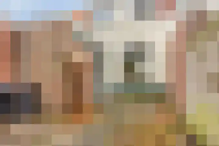 van Assendelftstraat 41 Oegstgeest thumbnail 33