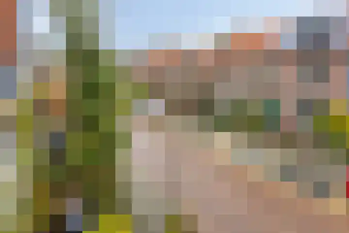 van Assendelftstraat 41 Oegstgeest thumbnail 36