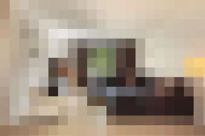 van Assendelftstraat 54 Waalwijk thumbnail 11