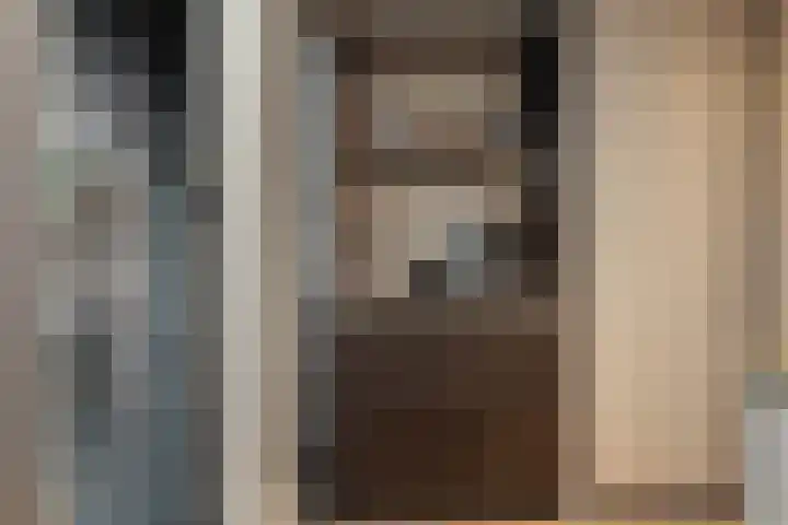 van Assendelftstraat 54 Waalwijk thumbnail 20