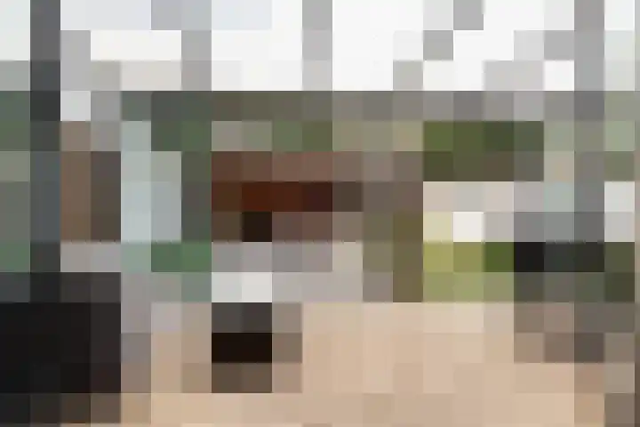 van Assendelftstraat 54 Waalwijk thumbnail 22