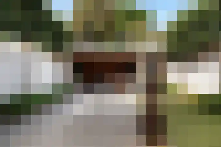 van Assendelftstraat 54 Waalwijk thumbnail 23