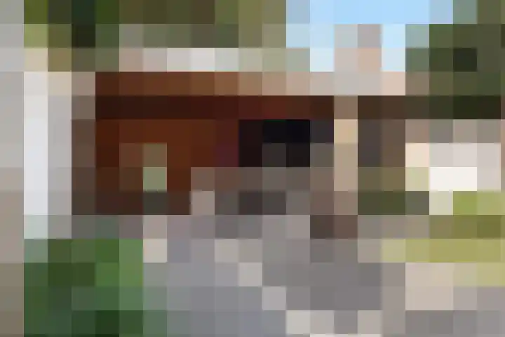van Assendelftstraat 54 Waalwijk thumbnail 24