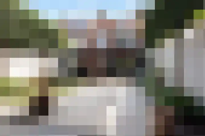 van Assendelftstraat 54 Waalwijk thumbnail 27