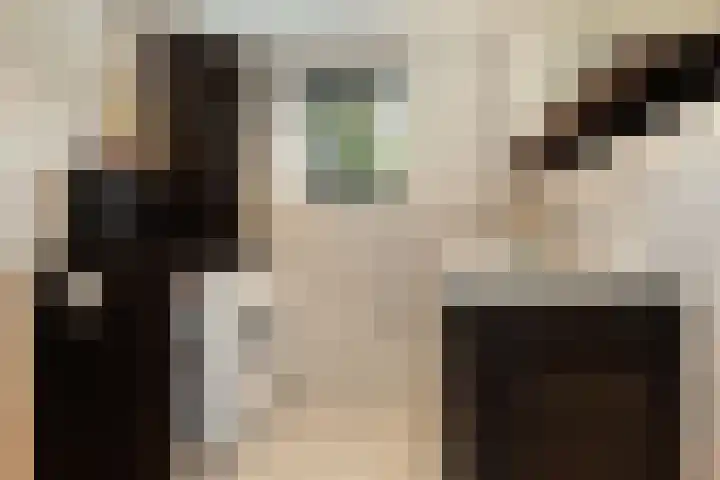 van Assendelftstraat 54 Waalwijk thumbnail 31