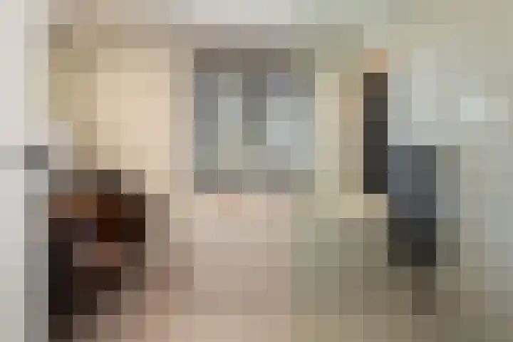 van Assendelftstraat 54 Waalwijk thumbnail 33