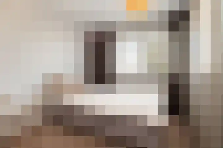 van Assendelftstraat 54 Waalwijk thumbnail 36